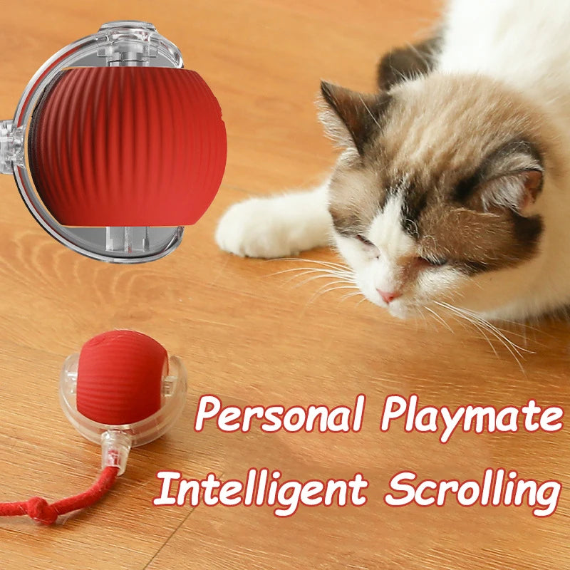 Rechargeable Cat Ball Toy – Automatic Rolling Interactive Pet Training Toy